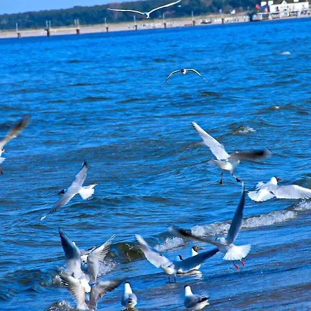 1-bedroom Tatil Evi *