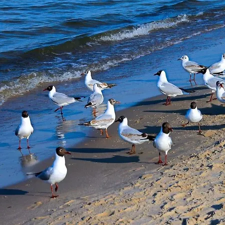 Tatil Evi 1-bedroom Heringsdorf