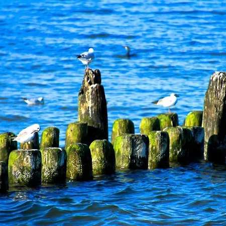 1-bedroom Tatil Evi Heringsdorf